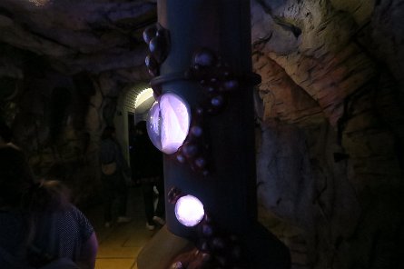 20240511_145353 null