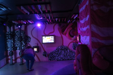 20240511_155446 null