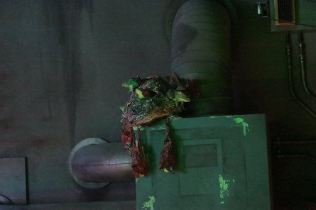 20240511_153406 null