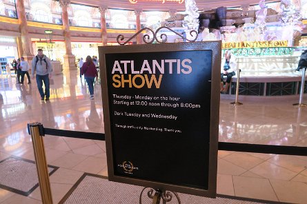 20241116_112231 null