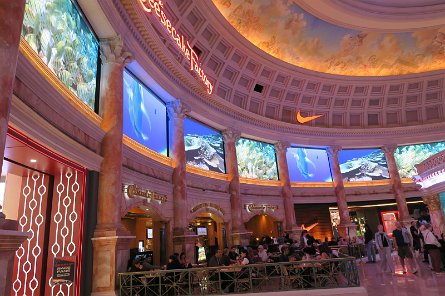 20241116_112900 null