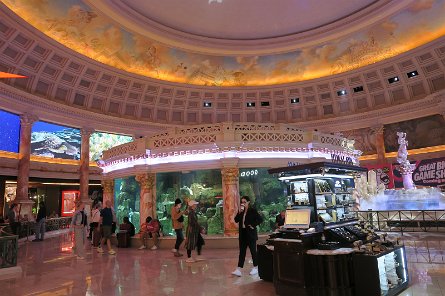 20241116_112902 null