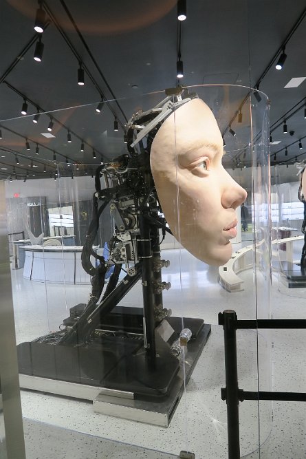 20241116_113938 null