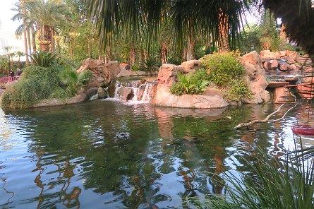 20241115_090838 null