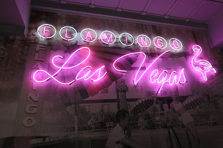 20241114_201822 null