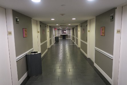 20241115_074253 null