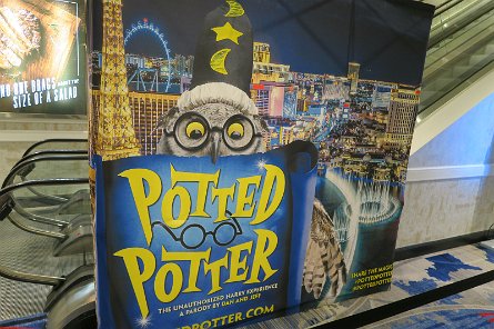 20241116_132332 null