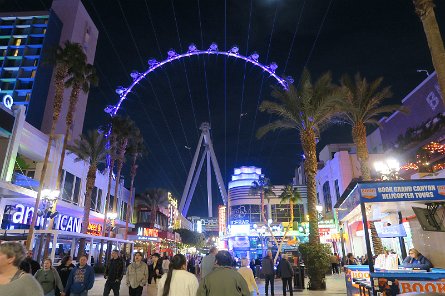 20241114_194239 null