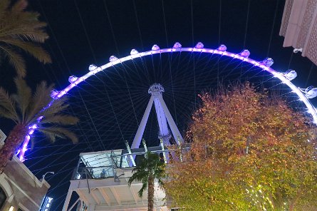 20241116_190155 null