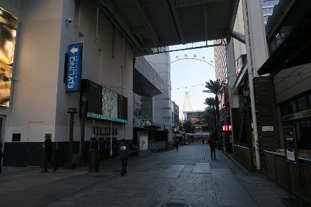 20241115_075343 null