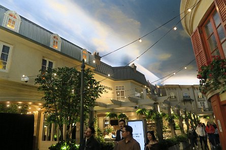 20241116_092244 null