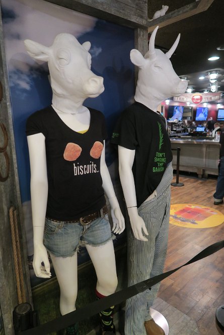 20241115_075919 null