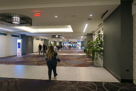 20241116_185006 null