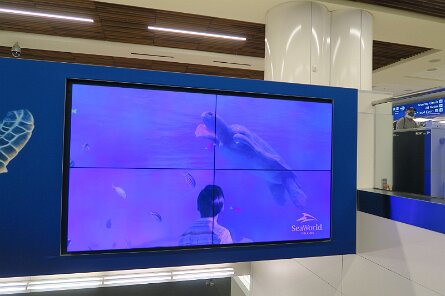 20211029_141825 null