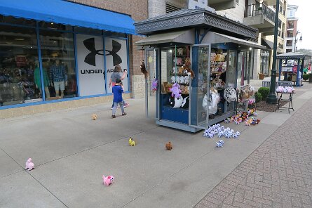 20250324_161911 null