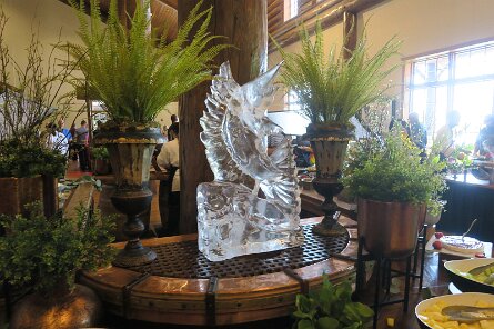 20250608_104347 null