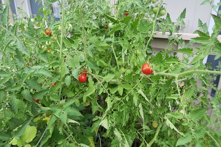 20250831_094946 null