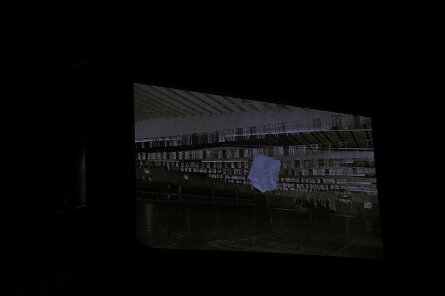 20250324_195916 null