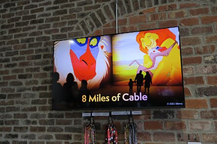 20250324_122032 null