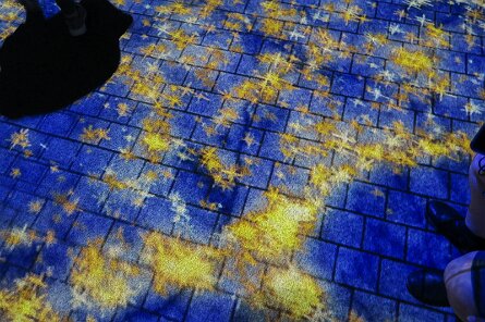 20250324_130452 null