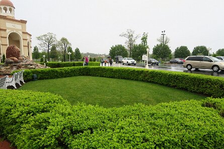 20250419_103136 null