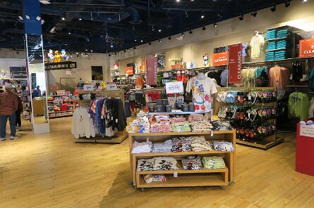 20250324_110707 null