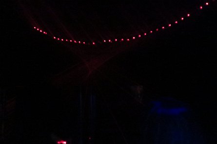 20241115_113611 null