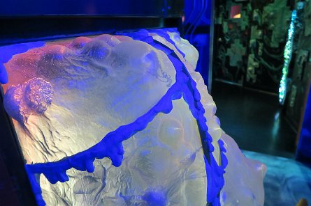 20241115_110736 null