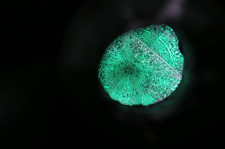 20241115_101123 null